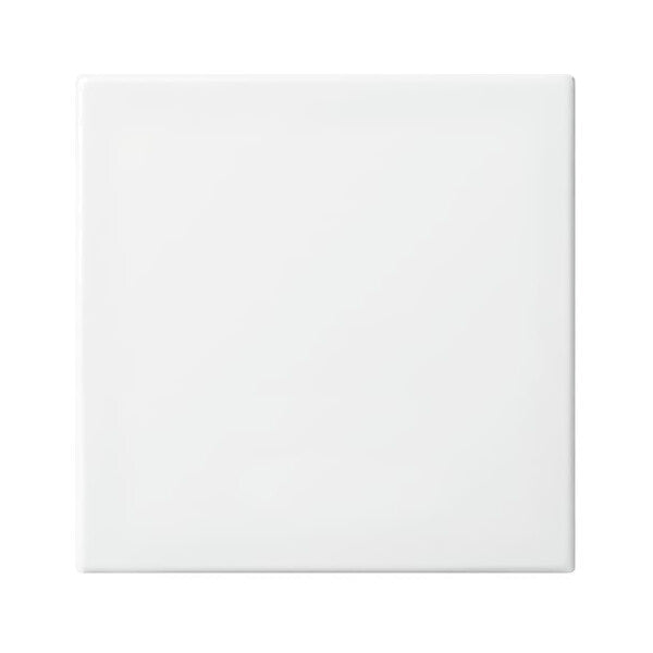 Busch-Jaeger Wippe aws Busch-balance SI 2546-914